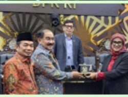 Politisi Nasdem M.Sadiq Pasadigoe: Penanganan HAM Berat Harus Secara Menyeluruh