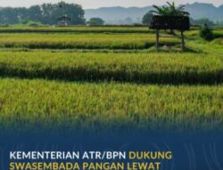 Kementerian ATR/BPN Dukung Swasembada Pangan Lewat Penguatan Kebijakan LBS, LP2B, dan LSD