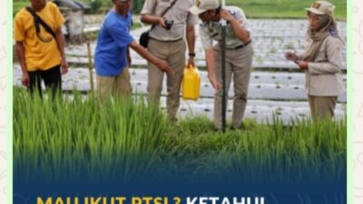 Mau Ikut PTSL? Ketahui Biaya Persiapannya yang Berlaku di Masing-Masing Wilayah