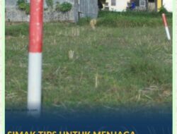 Simak Tips untuk Menjaga Tanah agar Tidak Diserobot Orang Lain