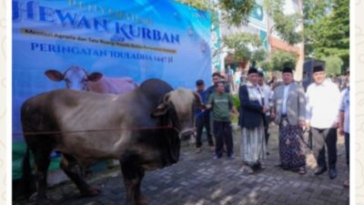 Serahkan Hewan Kurban ke Ponpes Darunnajah, Menteri Nusron: Iduladha Jadi Momentum Mempererat Kebersamaan