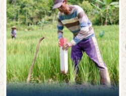 Pasang Patok, Cara Sederhana Cegah Sengketa Tanah dengan Tetangga