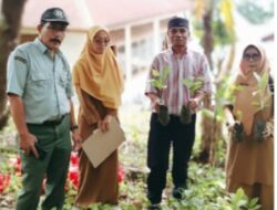 Dinas Pertanian Kab.Tanah Datar Lakukan Pengecekan Bantuan Bibit Kopi Robusta di Kec. Batipuah Selatan