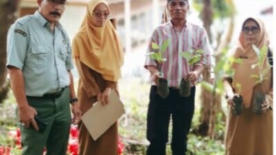 Dinas Pertanian Kab.Tanah Datar Lakukan Pengecekan Bantuan Bibit Kopi Robusta di Kec. Batipuah Selatan